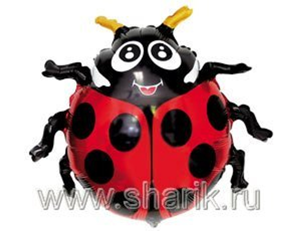 Шар фольга "Божья коровка" 82 х 56 см
