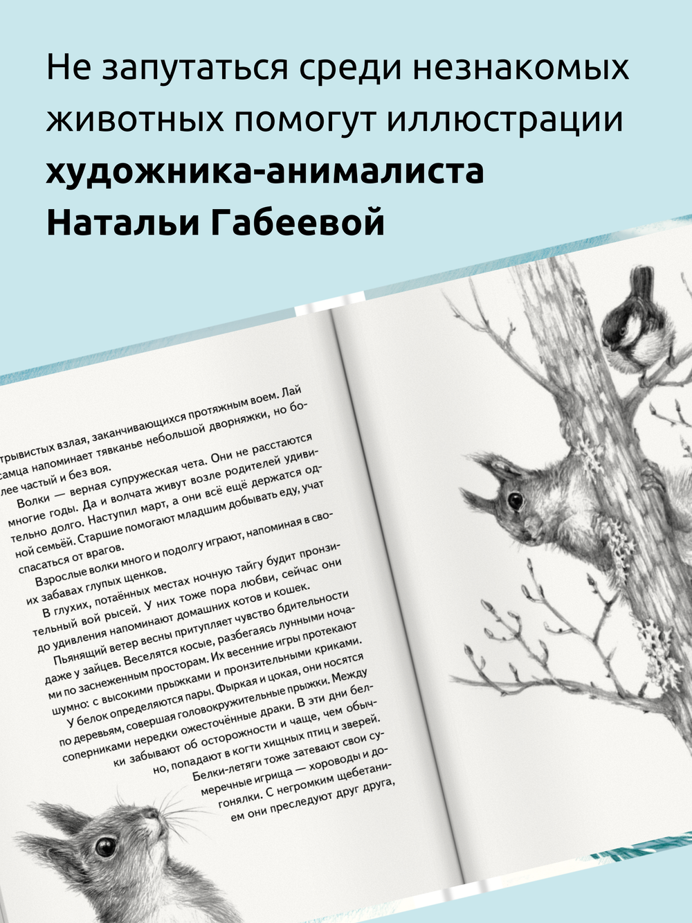 Иду по тайге (2-е изд.)
