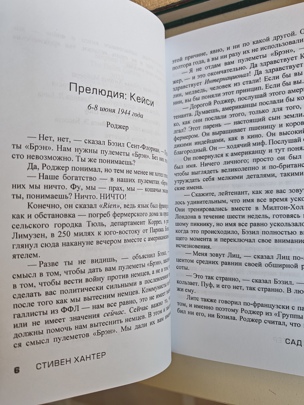 Сад пуль