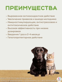 Е-Селен комплекс витамина Е и селена, раствор для инъекций, 50мл