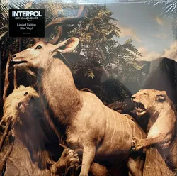 Виниловая пластинка Interpol – Our Love To Admire (2 LP)