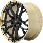 RP FORGED HCA193S