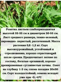 Семена капуста японская Изумрудный узор 5 гр