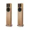 Apertura Edena Evolution Maple