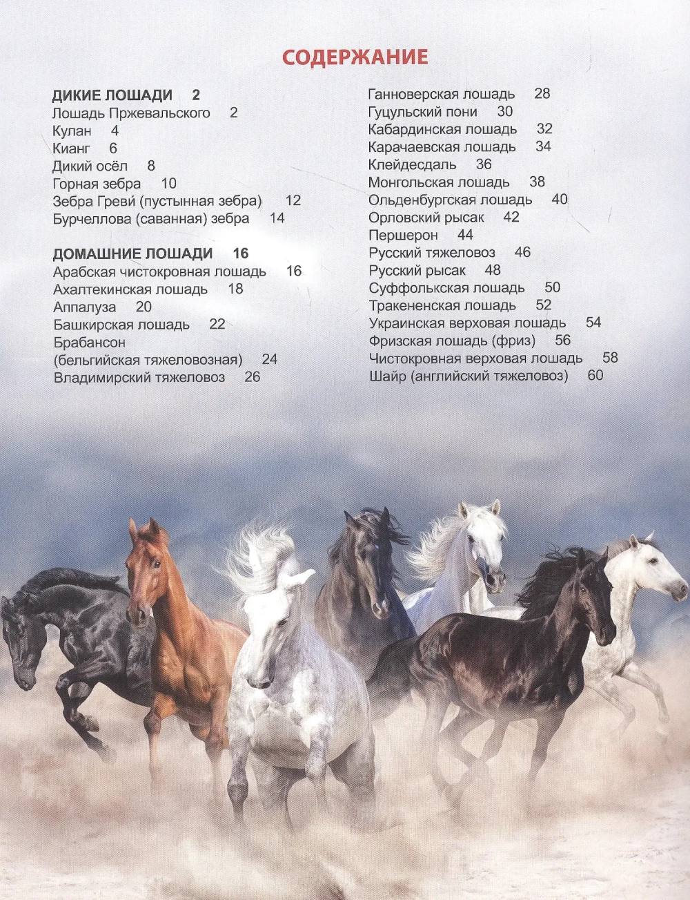 ЭНЦИКЛОПЕДИЯ ДЛЯ ДЕТЕЙ новые. ЛОШАДИ