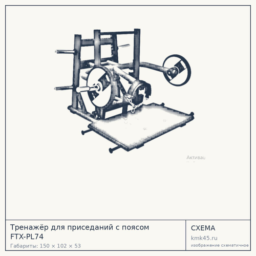 Тренажёр для приседаний с поясом FTX-PL74 — от 155 000 ₽