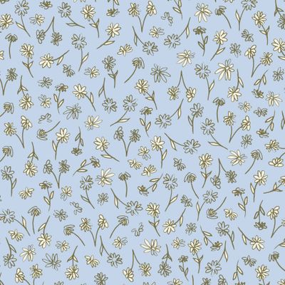 005 Daisies in the meadow