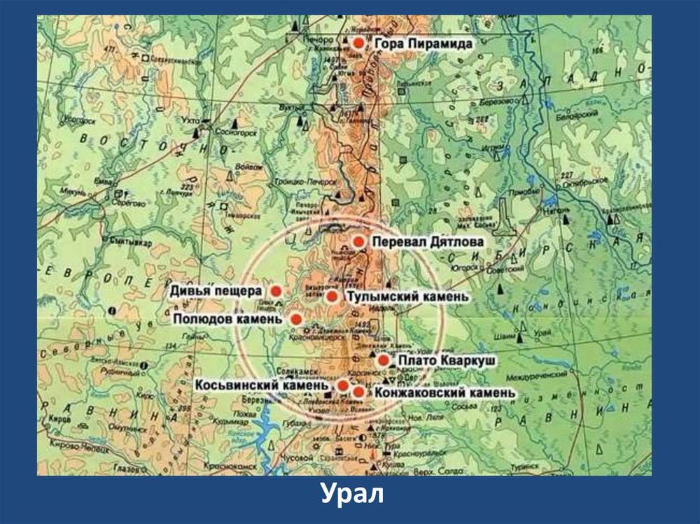 Природные зоны России (карта) — купить по ФГОС | Учебный стандарт