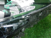 DSCN8704.JPG