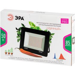 Фитопрожектор для растений светодиодный ЭРА FITO-50W-RB-LED для цветения и плодоношения красно-синего спектра 50 Вт | Фито прожекторы