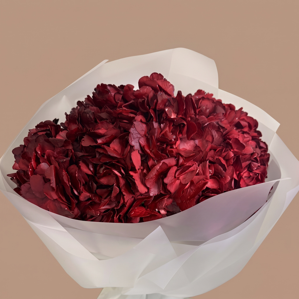 Красные гортензии Red Amor