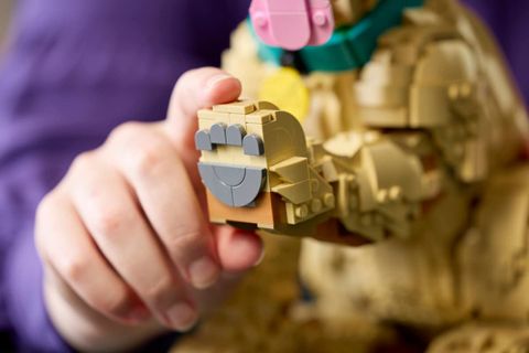 Конструктор LEGO Icons 11384 Golden Retriever Puppy