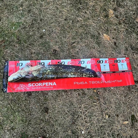 Линейка Scorpena для измерения улова