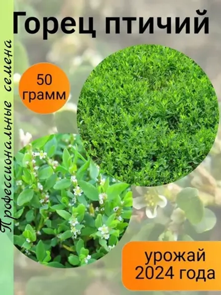 Семена Горец птичий (Polygonum aviculare) (Спорыш) 50 гр.