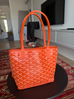 Сумка Goyard Anjou Mini