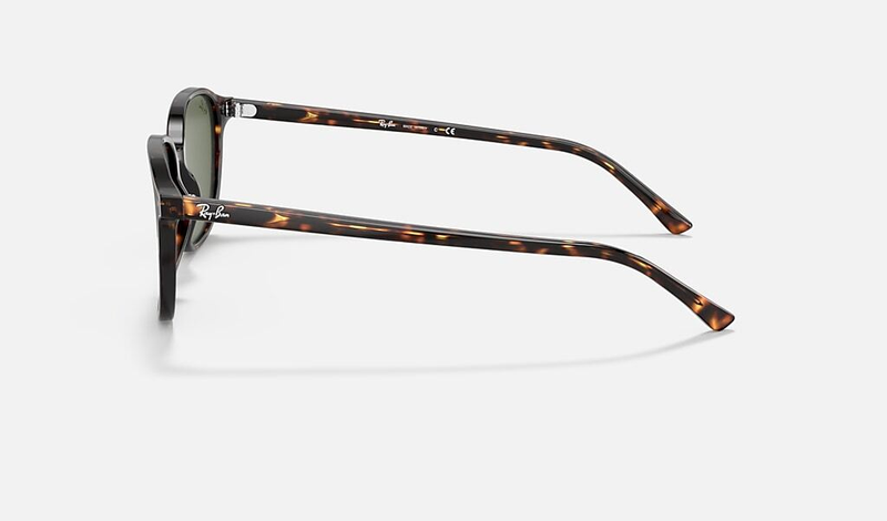 RAY-BAN LEONARD RB2193 902/31