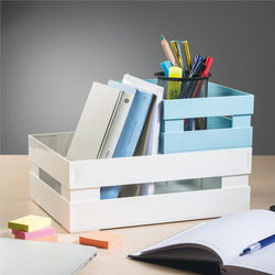 Ящик для хранения tidy&store, 22,4х5,4х8,7 см, голубой