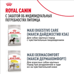 Royal Canin Maxi Joint Care Макси Джойнт кэа Корм сухой для взрослых собак крупных размеров с повышенной чувствительностью суставов 10кг