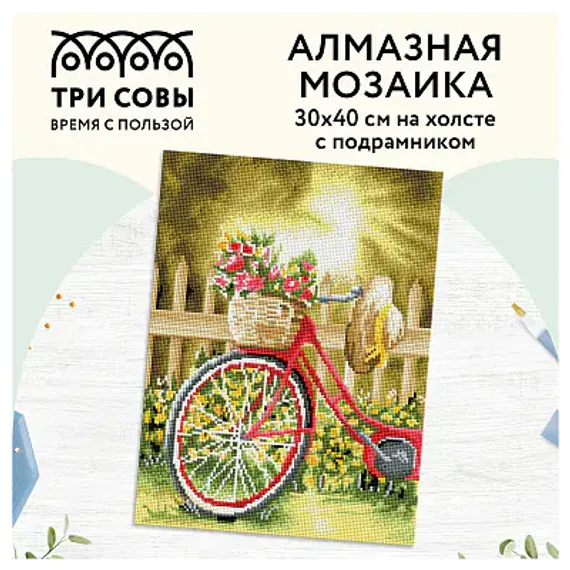 Almaz qaşlarla mozaika \ Алмазная мозаика \ Diamond painting ТРИ СОВЫ "Солнечный день", 30*40см, холст на деревянном подрамнике, картонная короб