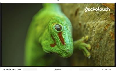 Интерактивная панель Geckotouch Interactive 65RT