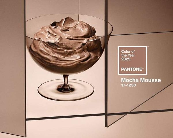 Мокка Мусс: Главный цвет 2025 года по версии Pantone Мокка Мусс: Главный цвет 2025 года по версии Pantone