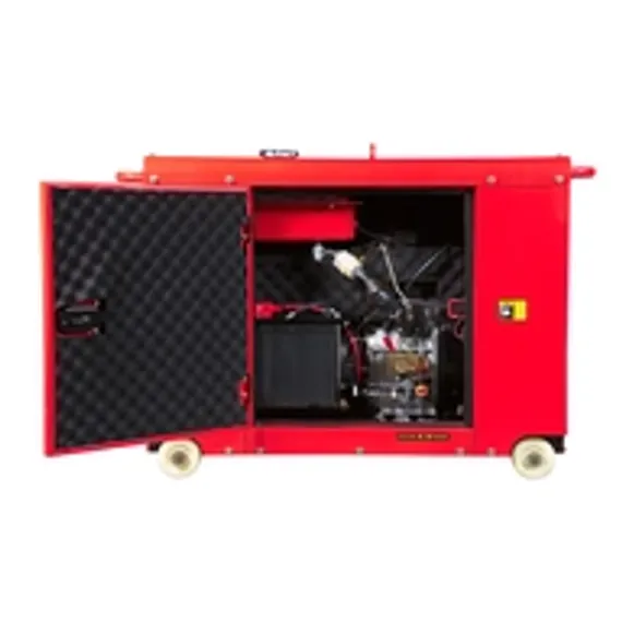 Дизельная электростанция FUBAG DS 22 AC ES
