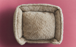 Лежак для животных Zara Home