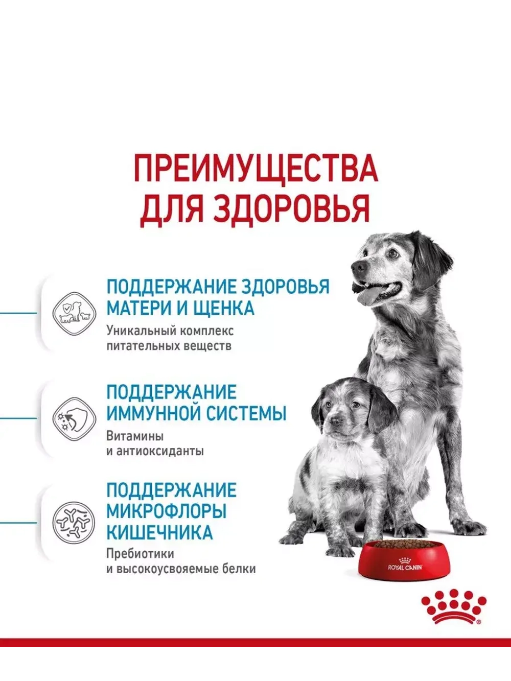 ROYAL CANIN MEDIUM STARTER MOTHER & BABYDOG(Роял Канин МЕДИУМ СТАРТЕР МАЗЕ ЭНД БЭБИДОГ) корм сухой для собак 20 кг.