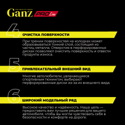 Диск тормозной задний перфорированный PRO-Line с покрытием (компл.2 шт) TOYOTA: VERSO 1.6/1.8/2.0 D-4D/2.2 D-4D/2.2 D-CAT GANZ GIJ06227S