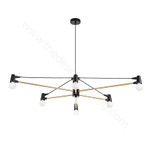 Pendant design lamp Bind