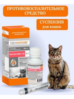 Мелоксивет OR Суспензия 0,2% 20мл