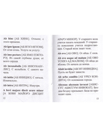 Мини. Словарь латинских пословиц и выражений