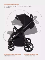 Коляска детская RANT "CASPIA 2.0" RA100 Black
