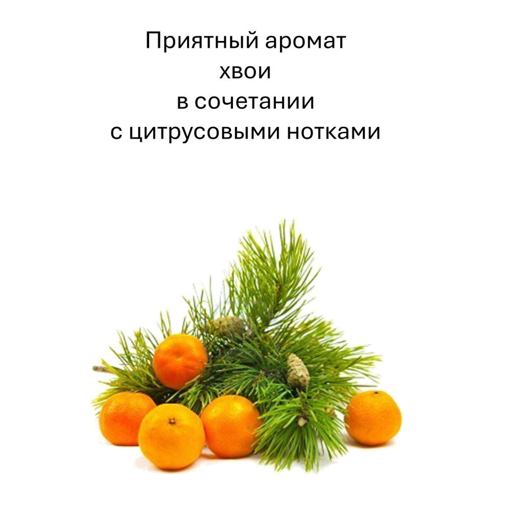 Цитрусы и хвоя, кубики восковые для ароматизации, 10 штук