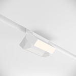 Магнитный трековый светильник Maytoni BASIS TR013-2-10W4K-W