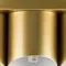 Потолочная люстра Siena 720402 Lightstar
