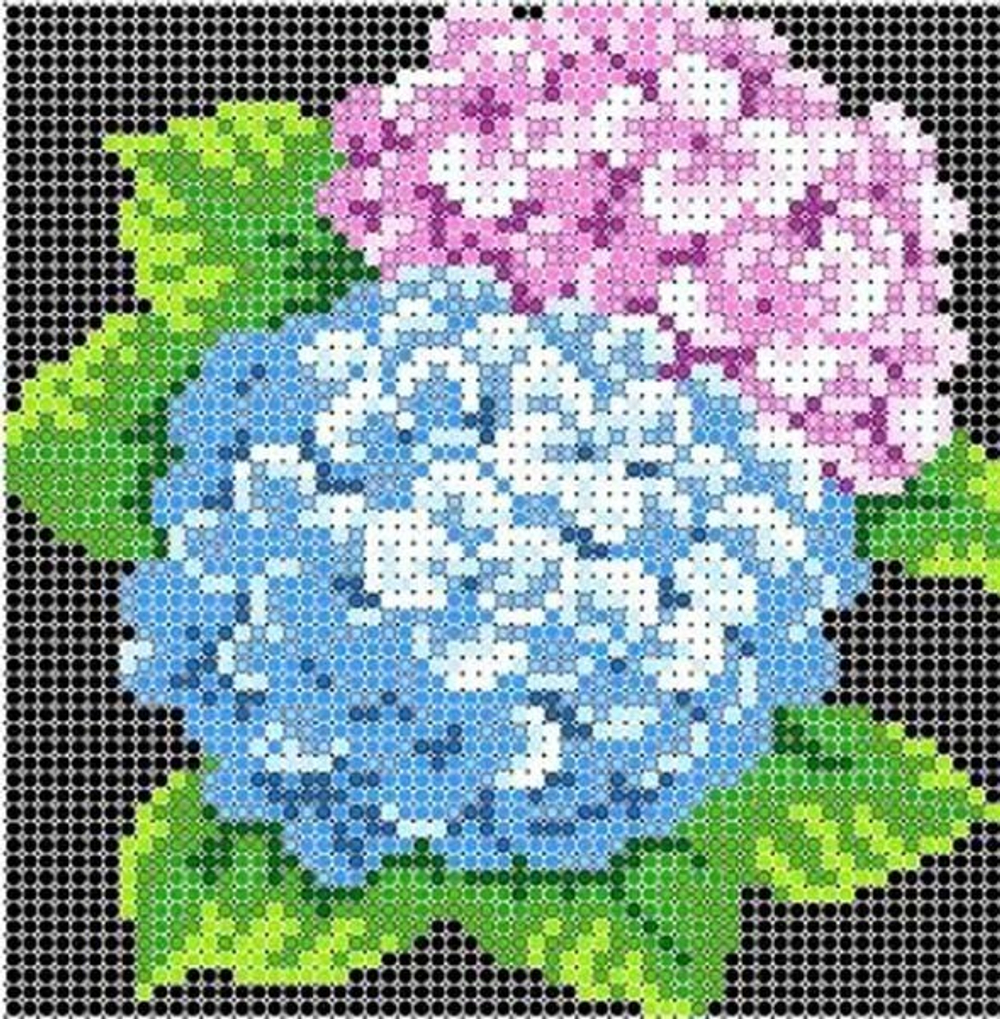 Г-028 Флоксы