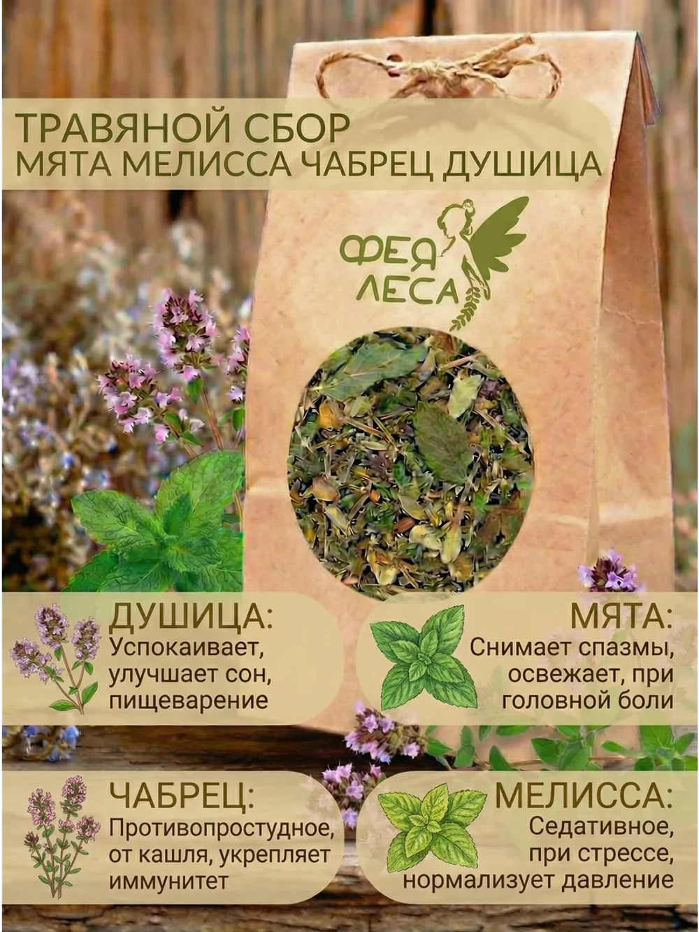 Чайные травы: сбор мелисса тимьян мята и душица
