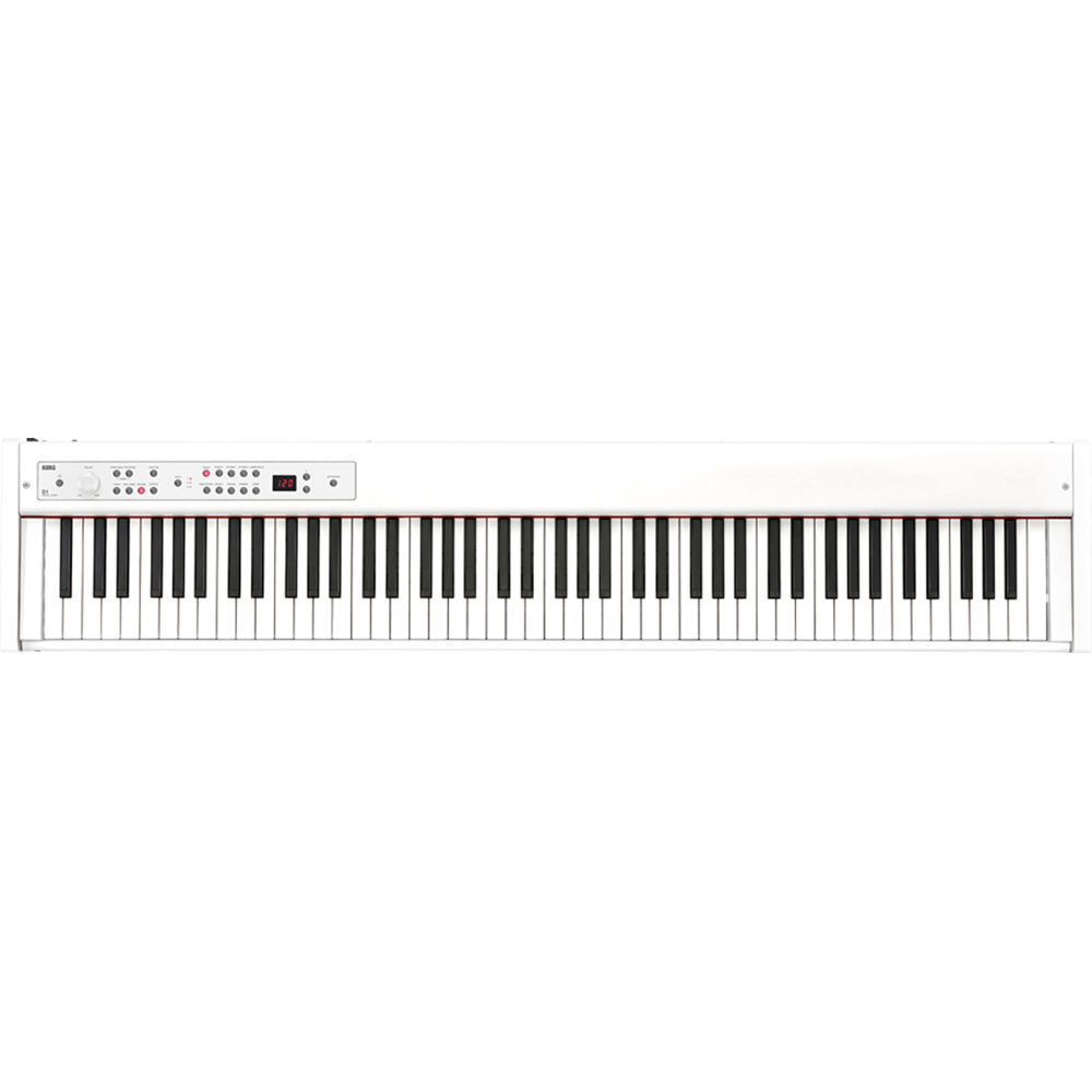 Korg D1