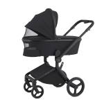 Коляска 2 в 1 ANEX Flo Lungo