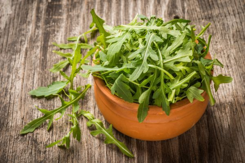 Рукола Триция 0,3г Мировые Семена VITA GREEN