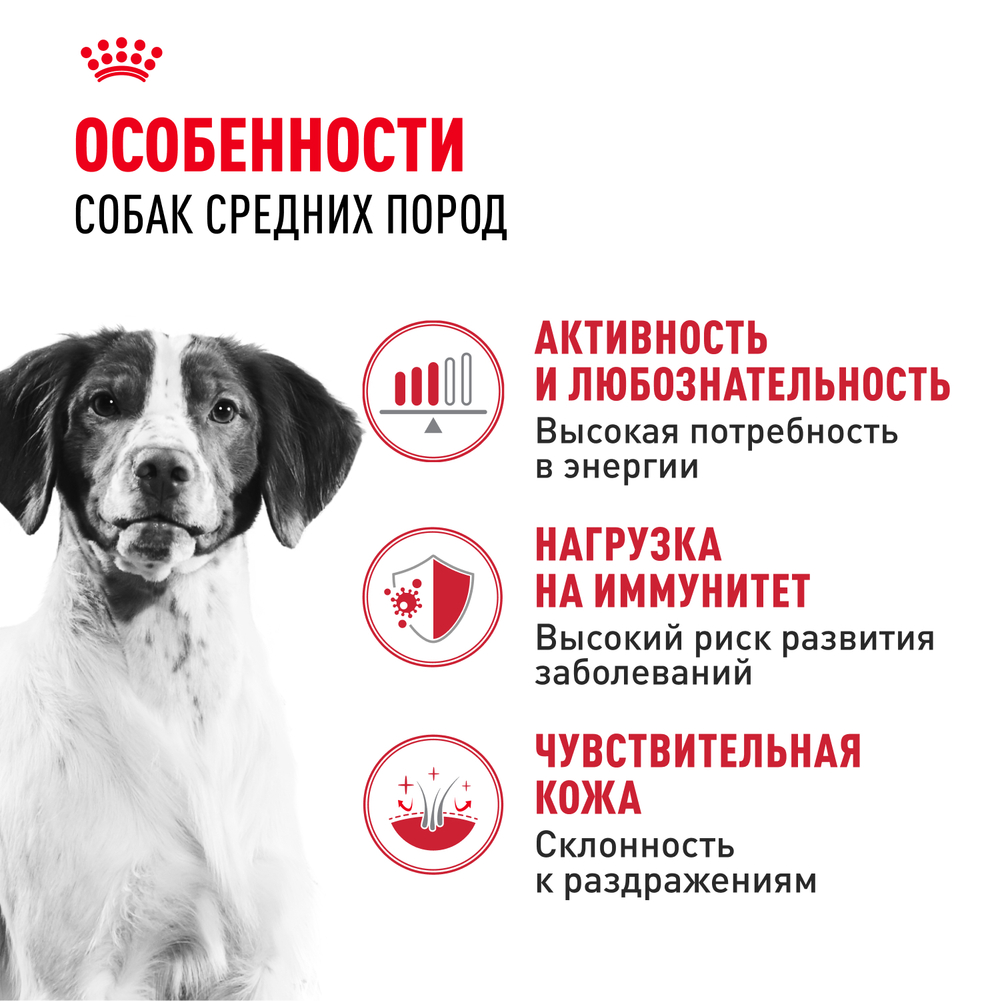 Royal Canin Medium Adult Корм сухой для взрослых собак средних размеров от 12 месяцев до 7 лет - 3 кг