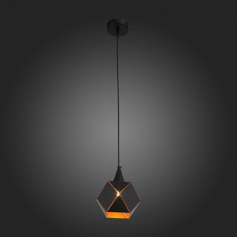 Светильник подвесной ST Luce Enigma SL258.403.01