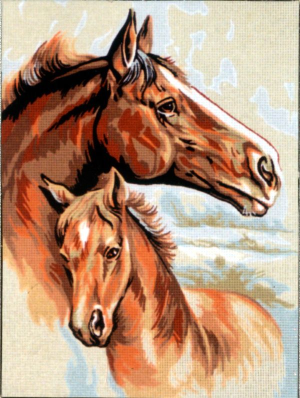 Рисунок для вышивания Soulos (канва жесткая), Мама и жеребенок, 40х50 см