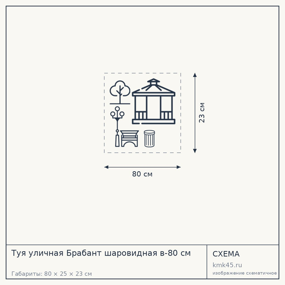 Туя уличная Брабант шаровидная в-80 см — от 9 900 ₽