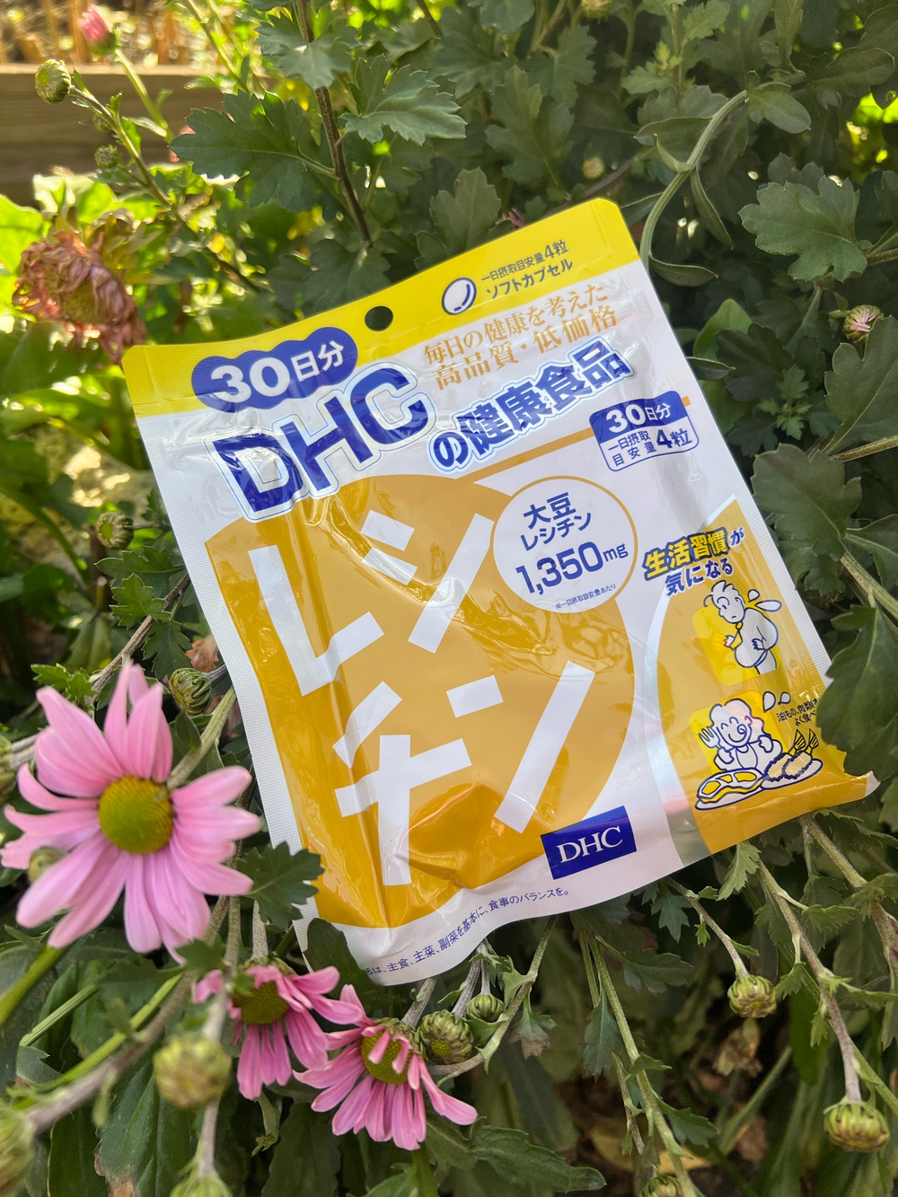 DHC Лецитин на 30 дней