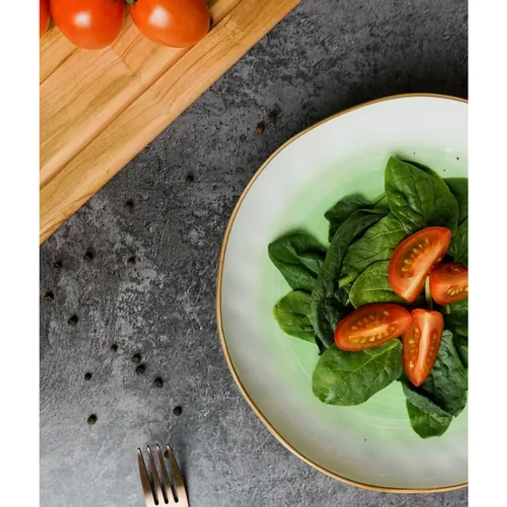 Салатник 450 мл d 21,5 см h3,8 см зеленый фарфор "The Sun Eco" P.L. Proff Cuisine [6]