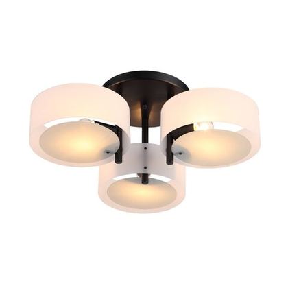 Светильник потолочный Evoluce Foresta SL483.402.03