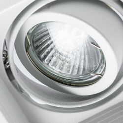 Светильник потолочный Arte Lamp Canis A6661PL-1WH