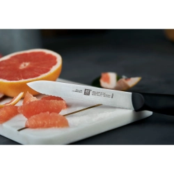 Zwilling Набор из 5 ножей Style в блоке EAN 4009839303326